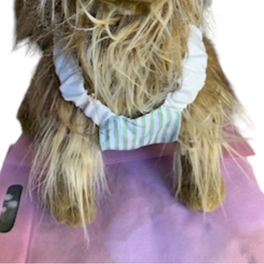 **PET Clothes BUNDLE** Set of 3 Pieces ** Dog Clothing For Small Dog 15- 20 LBS